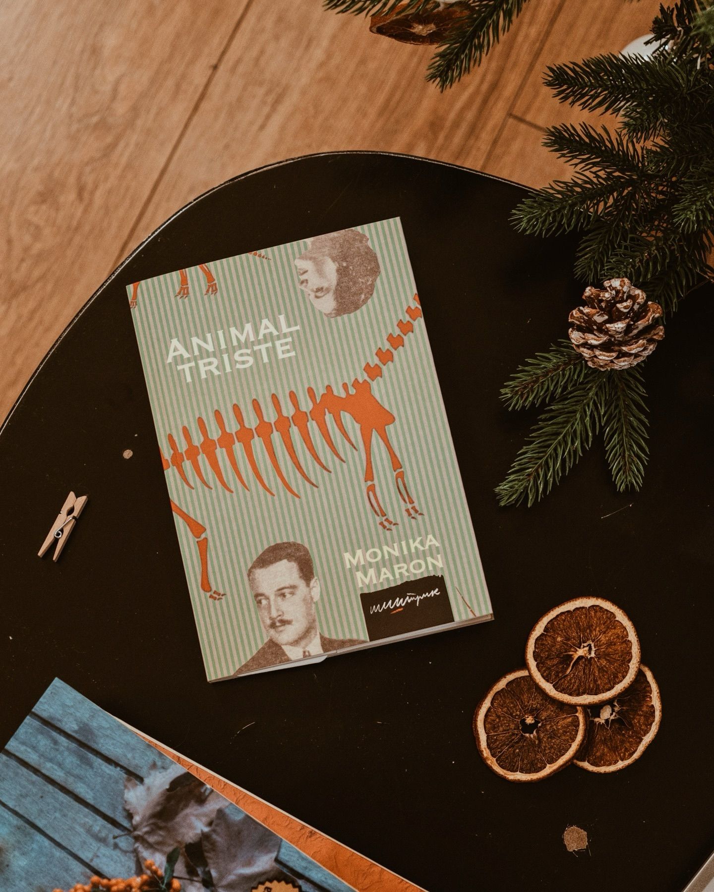 Knjiga Animal triste, Monike Maron